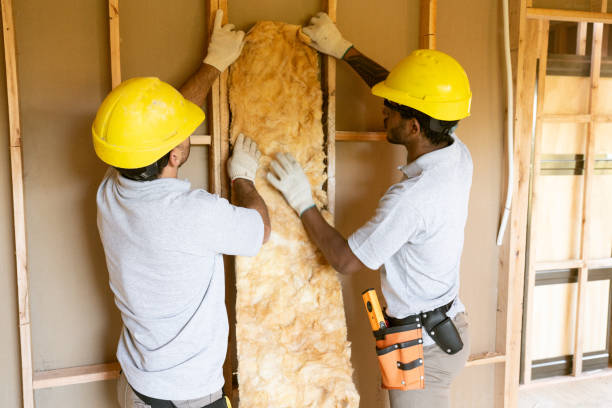 Best Residential Insulation Services  in Wheelersburg, OH