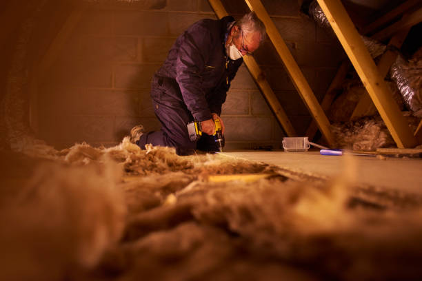 Best Professional Insulation Contractor  in Wheelersburg, OH