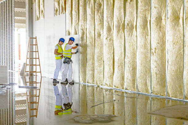 Best Cellulose Insulation  in Wheelersburg, OH